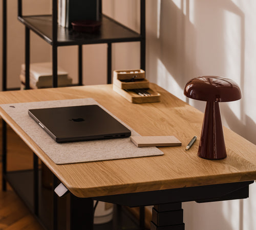 Standing Desk Pro Mini