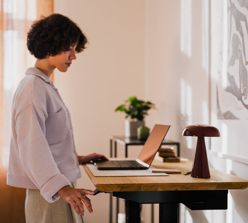 Standing Desk Pro Mini