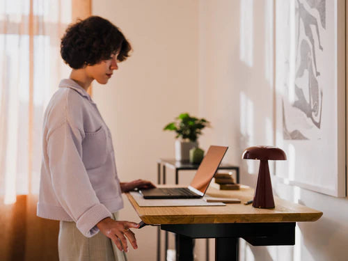 Standing Desk Pro Mini