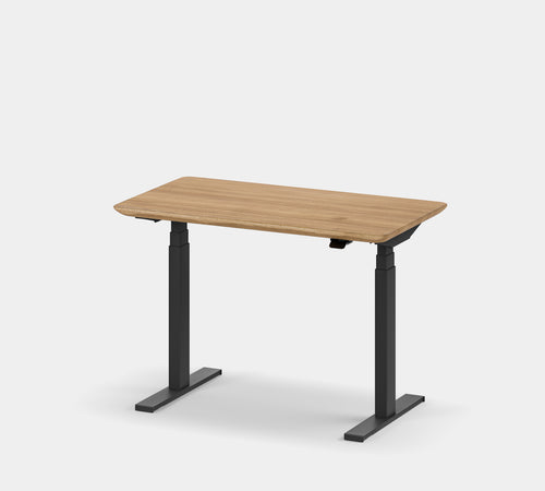 Standing Desk Pro Mini