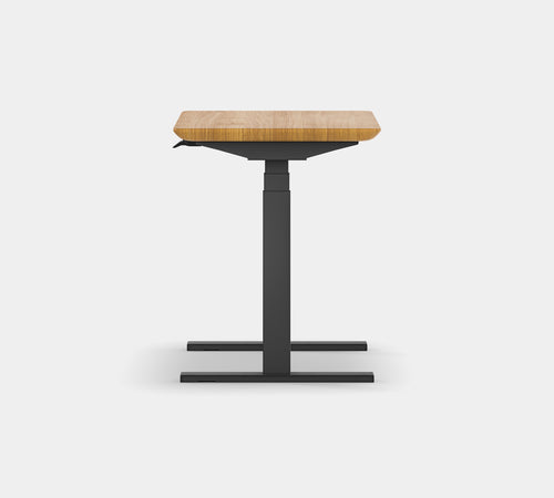 Standing Desk Pro Mini