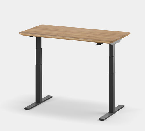 Standing Desk Pro